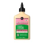 ACIDIFICANTE LOLA DENSIDADE 250ML